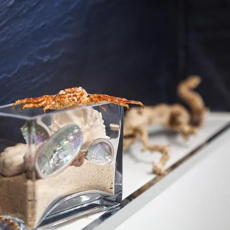 Amazing Luxury Apartment, La Casa Del Corazon * 莫罗德哈布雷