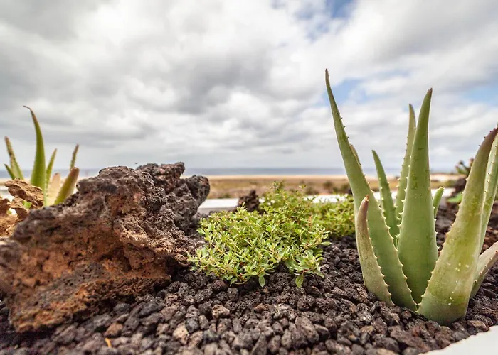 Amazing Luxury Apartment, La Casa Del Corazon
